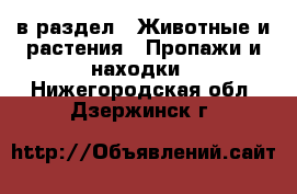  в раздел : Животные и растения » Пропажи и находки . Нижегородская обл.,Дзержинск г.